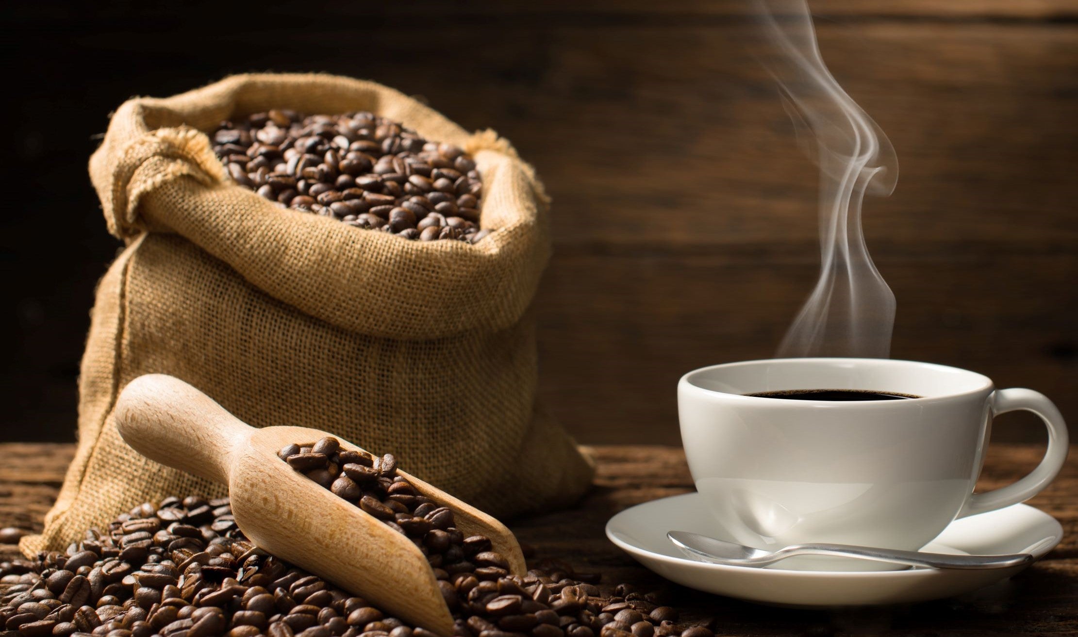 Fresh Roasted Coffee & Steaming Mug