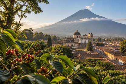 Guatemala Antigua