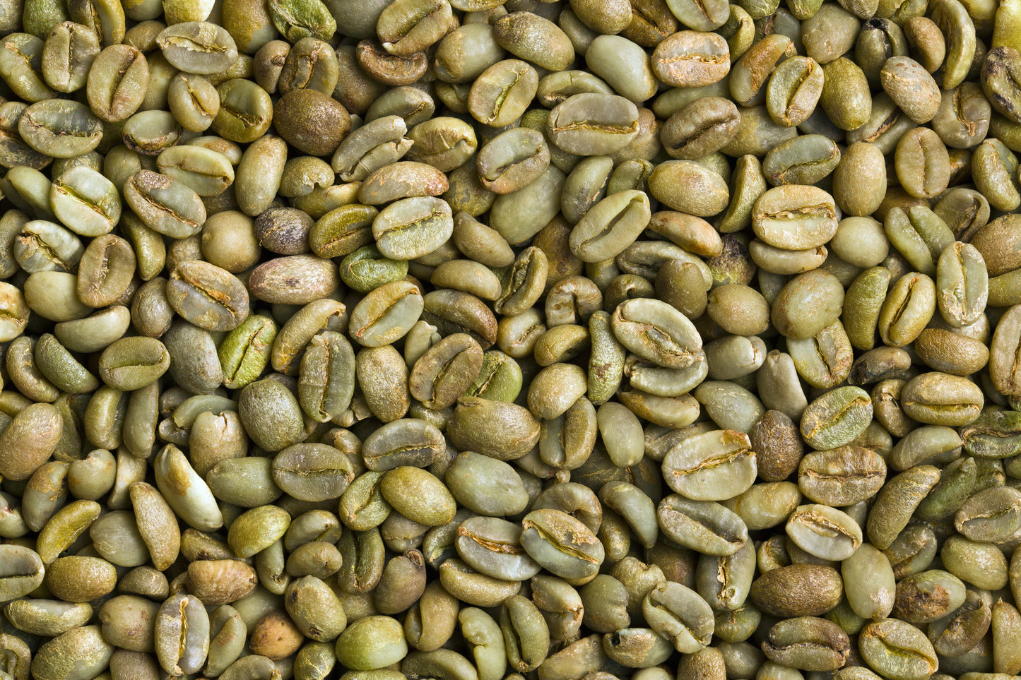 Green Raw Coffee Beans